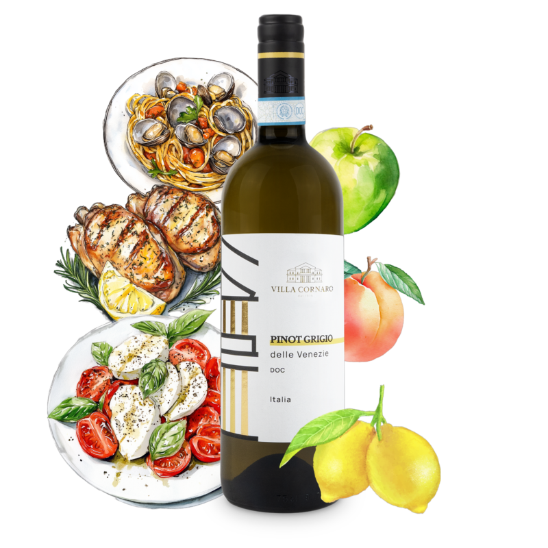 Pinot Grigio - Villa Cornaro