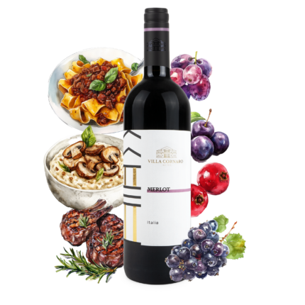 Merlot - Villa Cornaro - Image 2